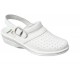 Shoe Prot